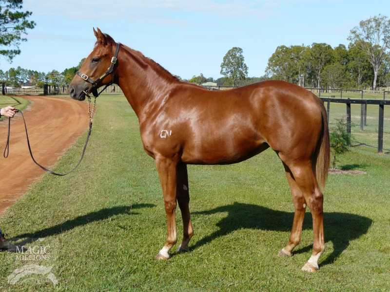 Assertory (AUS) - photo 1