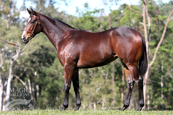 Onemorenomore (AUS) / Miss Rooney (AUS) - photo 1