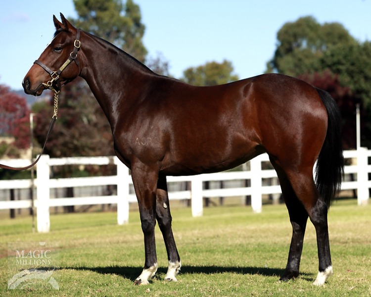 Holy Roman Emperor (IRE) / Moonboat (AUS) - photo 1