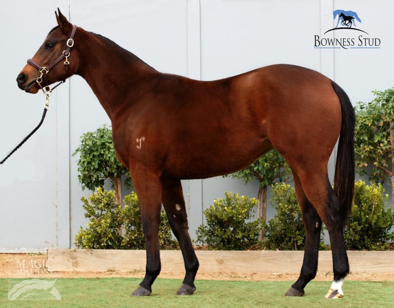 Pixible (AUS) - photo 1