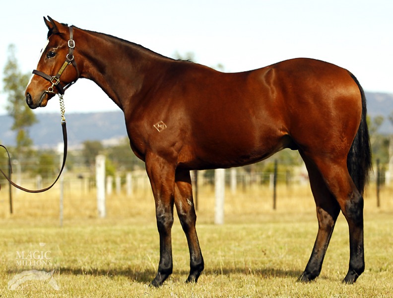 Not A Single Doubt (AUS) / Queen's College (NZ) - photo 1