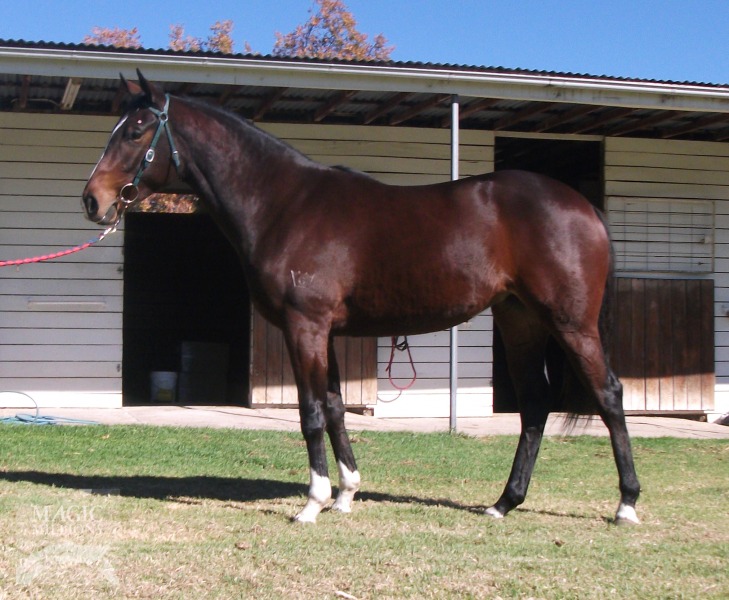 Miss Denari (AUS) - photo 1