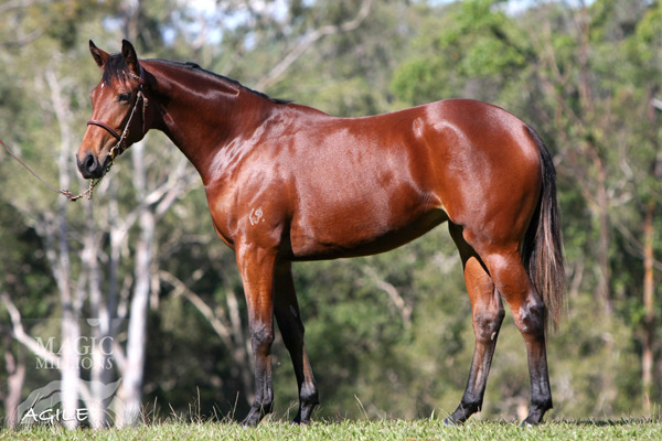 Maybe I'm Amazed (AUS) - photo 1