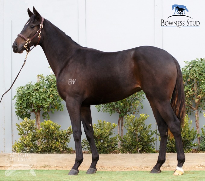 Power From Within (AUS) - photo 1