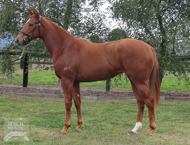 Only In Red (AUS) - photo 1