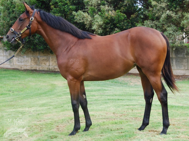 Sheerkat (AUS) - photo 1