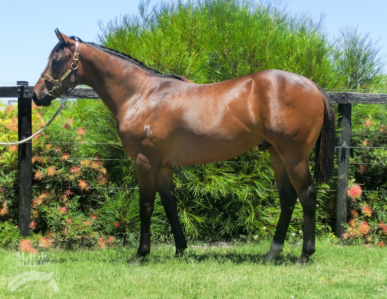 Minute Man (AUS) - photo 1