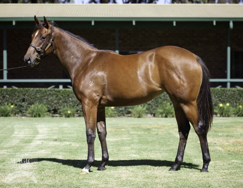 War Reen (AUS) - photo 1