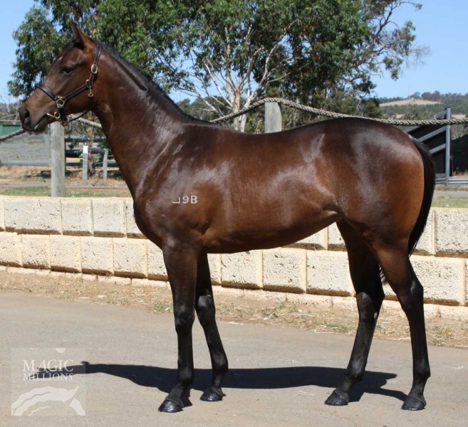 Full Time (AUS) - photo 1