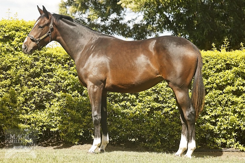 Illyrian (AUS) - photo 1