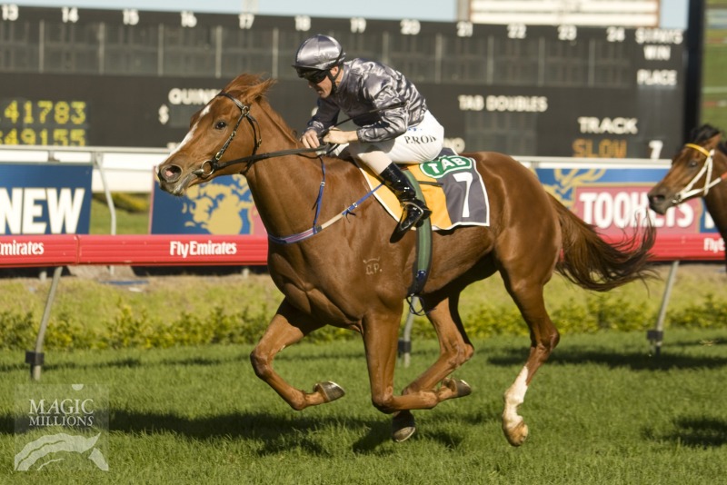 Web of Love (AUS) - photo 1