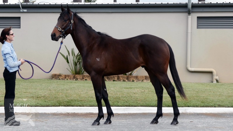 Any Given Saturday (USA) / Survival (AUS) - photo 1