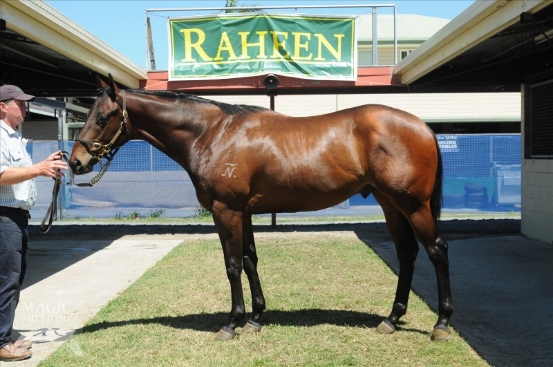 Slioch (AUS) - photo 1