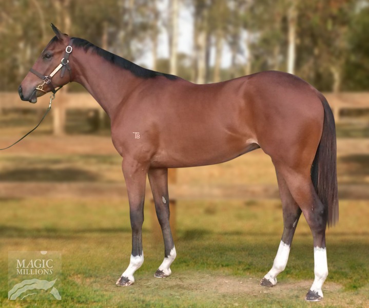 Congrats (USA) / Brookes (AUS) - photo 1