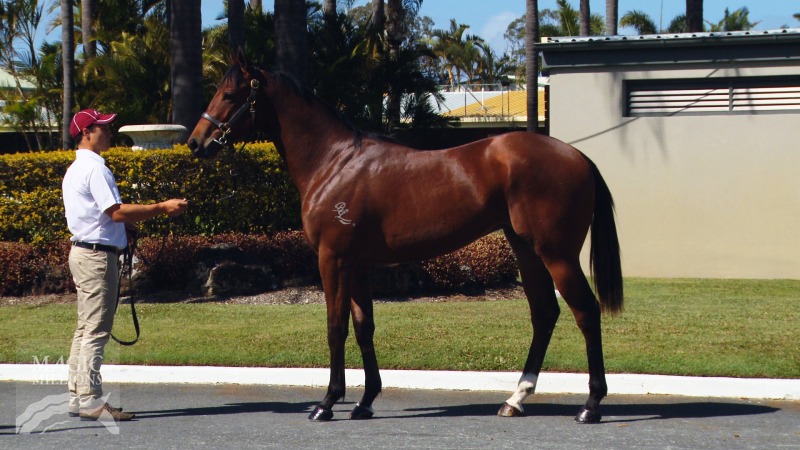 High Cost (AUS) - photo 1