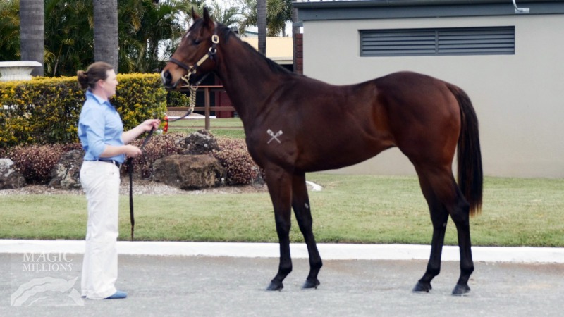 Super Brilliant (AUS) - photo 1