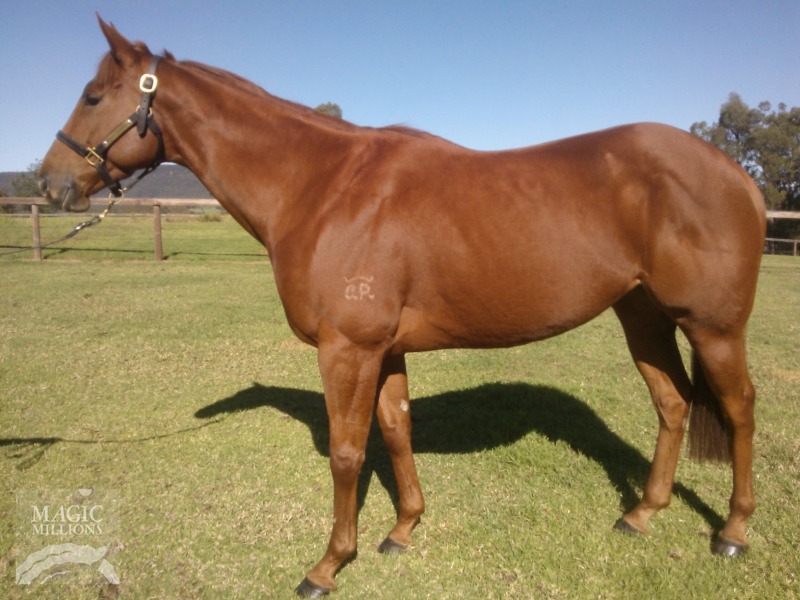 Emmalene (AUS) - photo 1