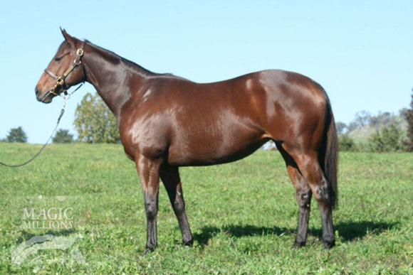 Fiesole (AUS) - photo 1