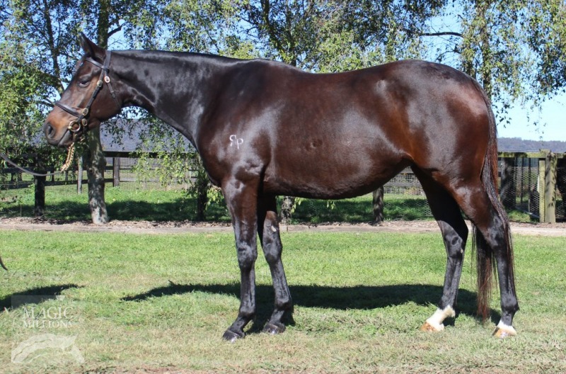 Hidden Spirit (AUS) - photo 1