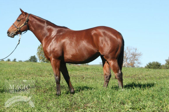 Hold for Ransom (AUS) - photo 1