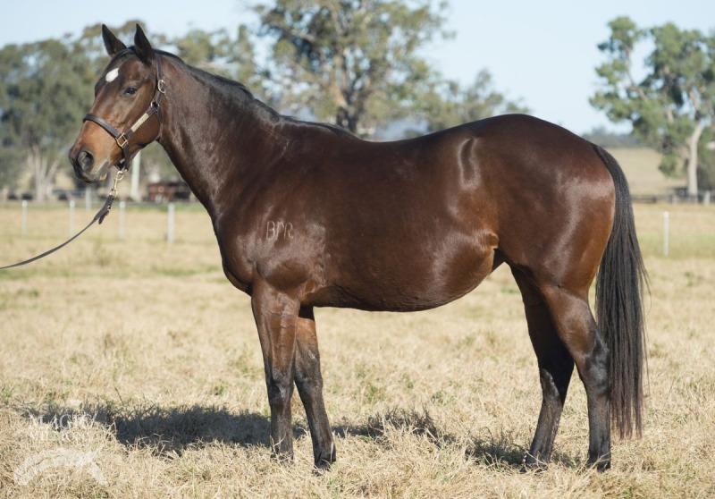 Top of the Rock (AUS) - photo 1