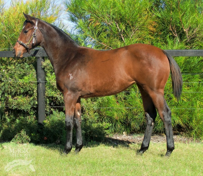 Magic And Danger (AUS) - photo 1