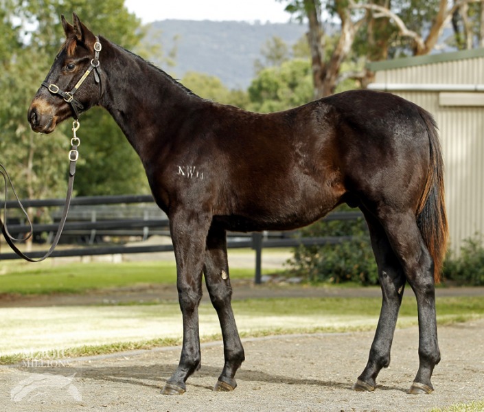 Congrats (USA) / Popular Delusions (USA) - photo 1