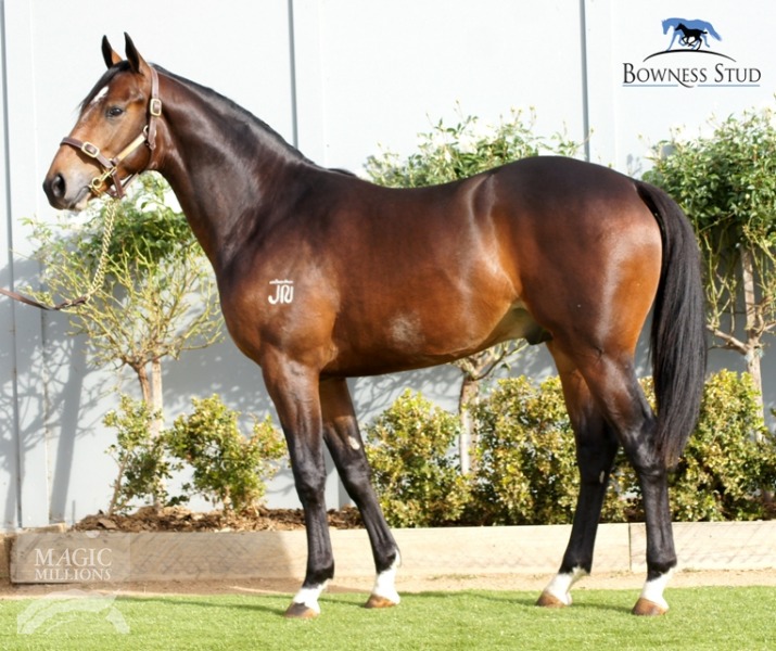 Lucky De Lago (AUS) - photo 1