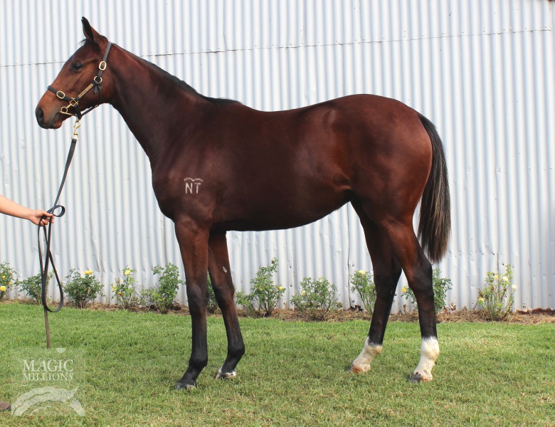 Maddison Carissa (AUS) - photo 1