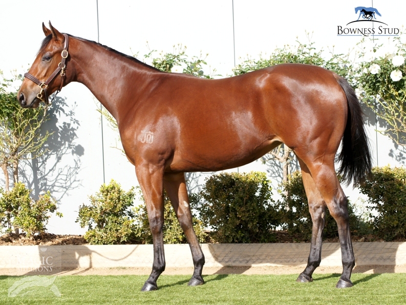 Palora (AUS) - photo 1