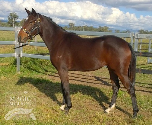 Snow Flakes (AUS) - photo 1