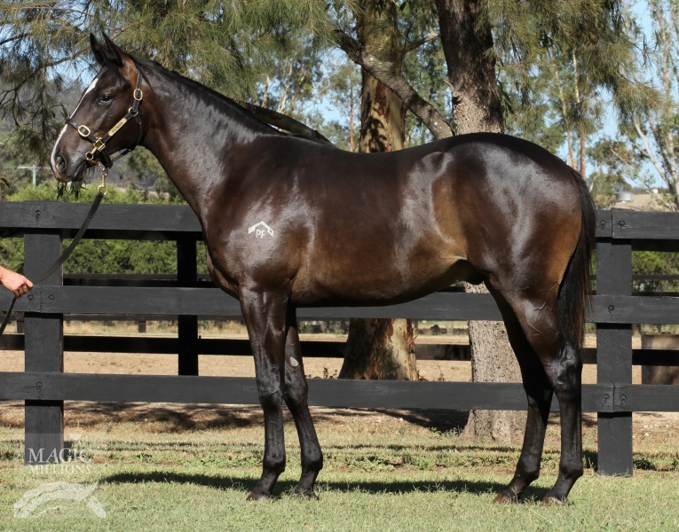 Onemorenomore (AUS) / Don't Tell Clang (AUS) - photo 1