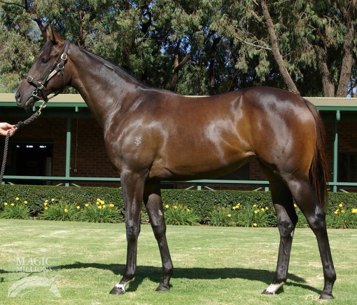 Medaglia d'Oro (USA) / Heptonstall (AUS) - photo 1