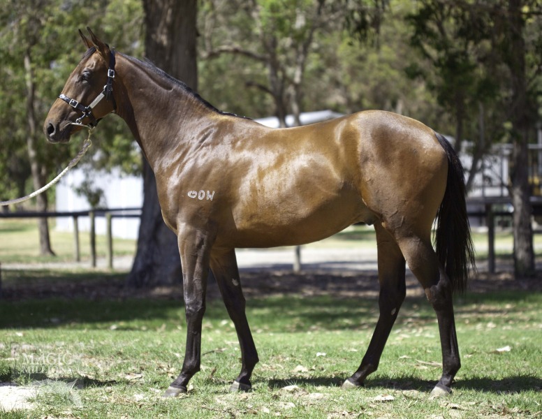 Hero's End (AUS) - photo 1