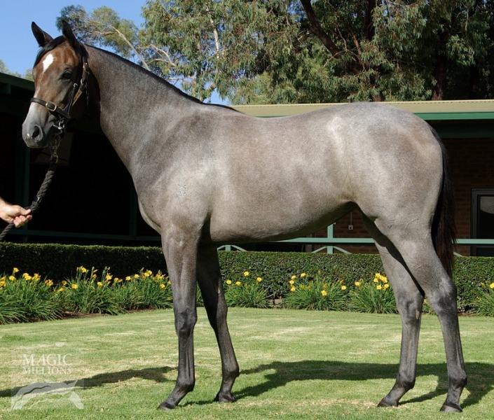 War Citi (AUS) - photo 1