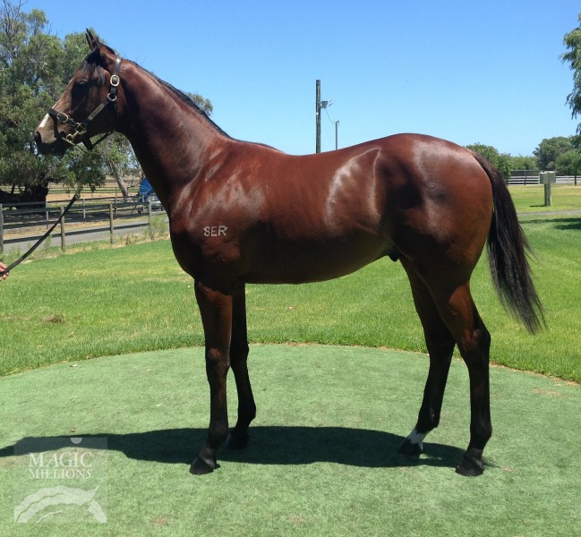 War Jeune (AUS) - photo 1