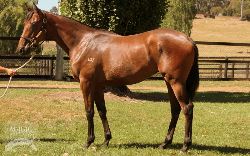 Miss Dhoni (AUS) - photo 1