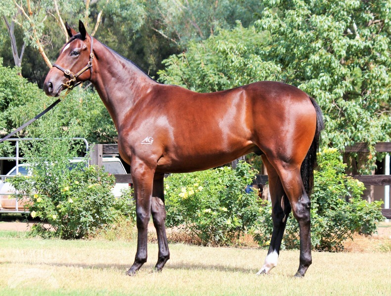 Al Maher (AUS) / Cape Croft (NZ) - photo 1