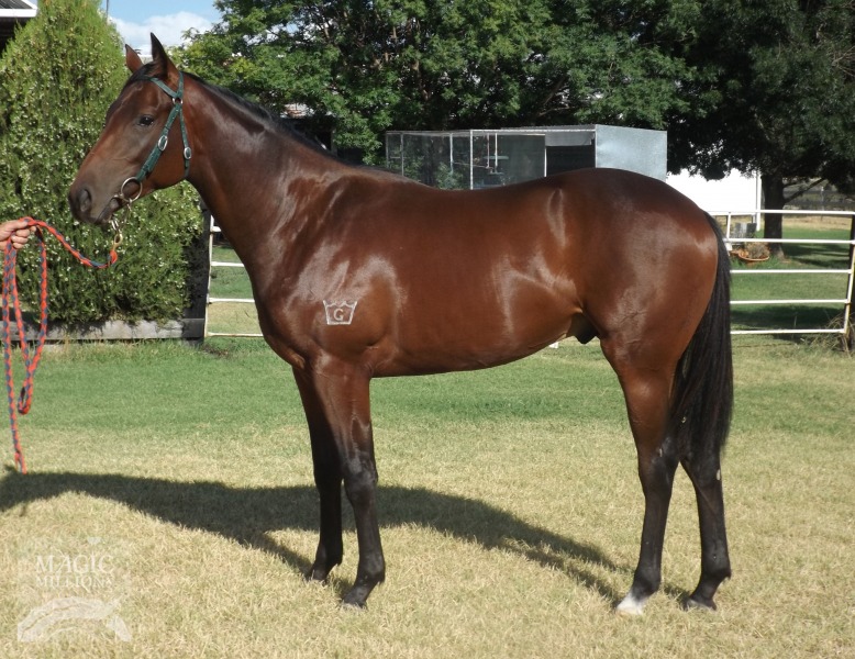 Tickets (AUS) / China Doll (AUS) - photo 1