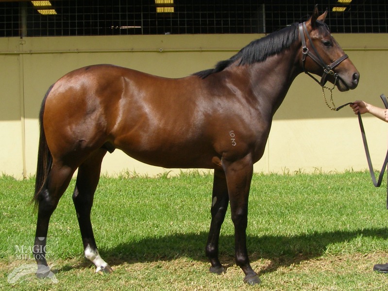 Mint Lane (USA) / Churchill's Girl (AUS) - photo 1