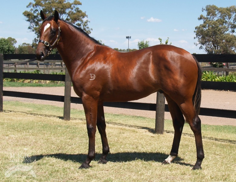 Al's Antix (AUS) - photo 1