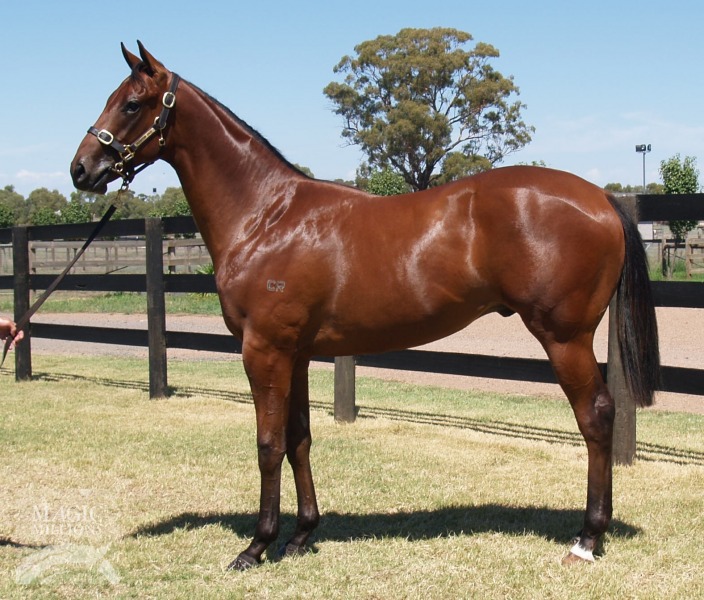 Artie Schiller (USA) / Heavenly Wonder (AUS) - photo 1