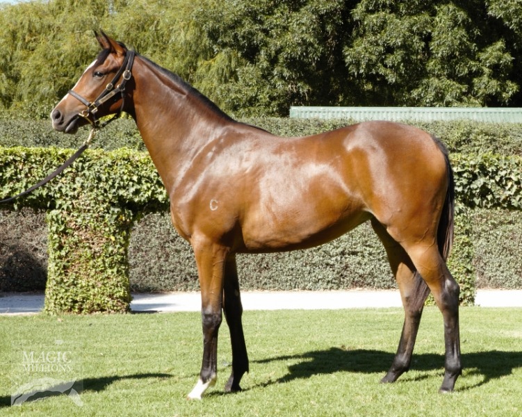 Kharbouch (AUS) - photo 1