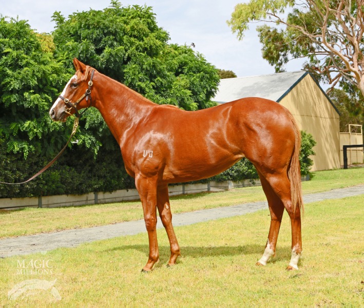 Diamond Reef (AUS) - photo 1