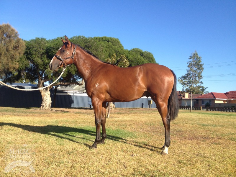 Krupt (AUS) / Kuitpo Crystal (AUS) - photo 1