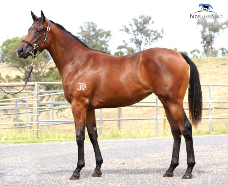 Lucy In Disguise (AUS) - photo 1