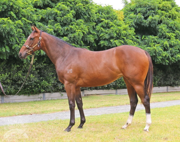 Master of Design (AUS) / Magic Milady (AUS) - photo 1