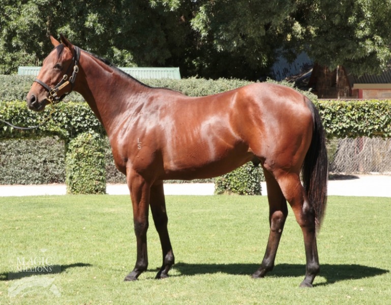 Sebring (AUS) / Merridance (AUS) - photo 1