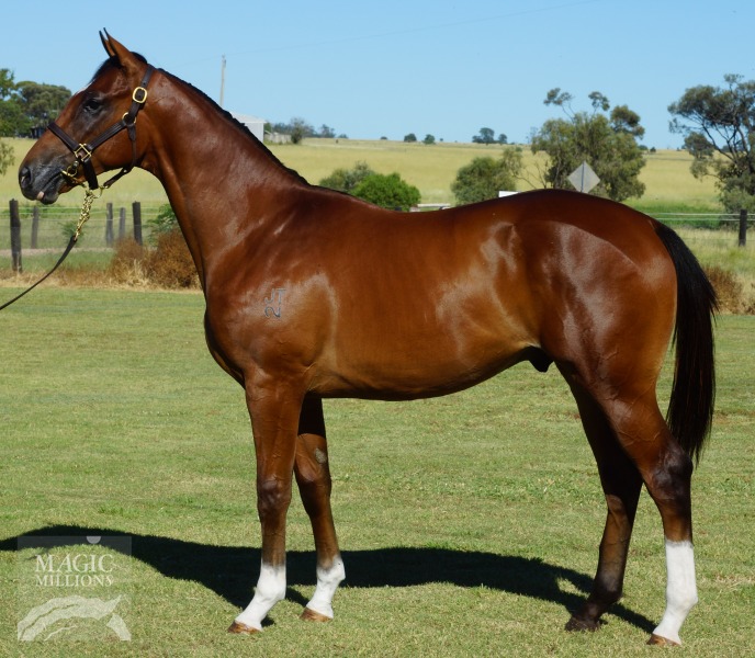 Guilty Verdict (AUS) - photo 1