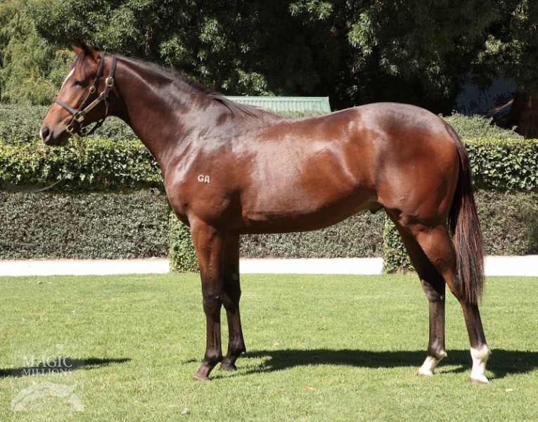 Toffiato (AUS) - photo 1